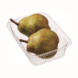 fruit icon